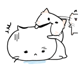 8527592
