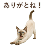 852761985