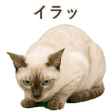 852761986