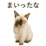 852761987