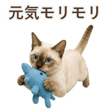 852761988