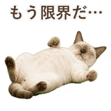 852761989