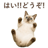 852761997