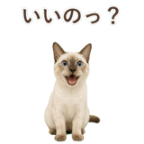 852761999