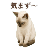 852762000