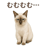 852762002