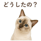 852762014