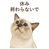 852762017