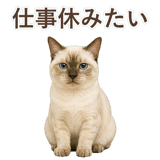 852762018