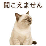 852762019