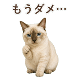 852762020