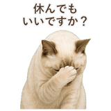 852762021