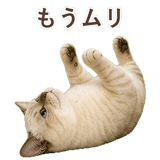 852762022