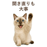 852762024