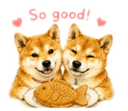 852762293