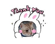 852762338