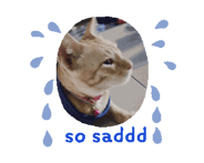 852762341