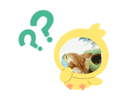 852762343
