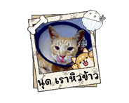 852762345