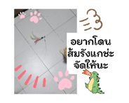 852762352