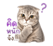 852764527