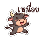 852769343
