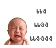 852772038