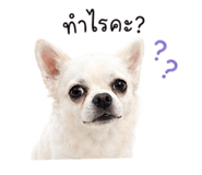 852781396