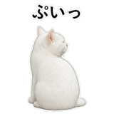 852786840