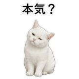 852786841