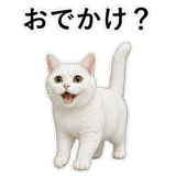 852786845