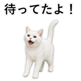852786856