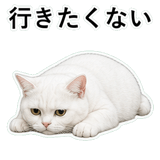 852786858