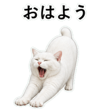 852786860