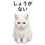 852786869