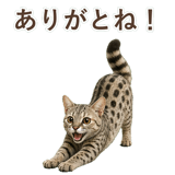 852786953