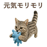 852786956