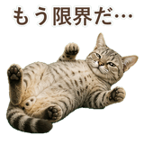 852786957