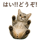 852786965
