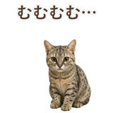 852786970