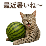 852786974