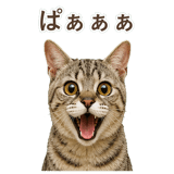 852786978
