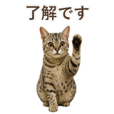 852786979