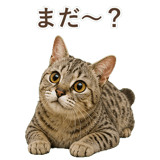 852786980