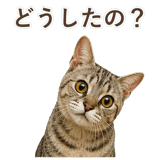 852786982