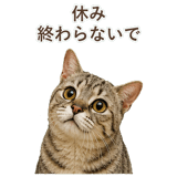 852786985