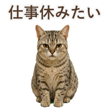 852786986