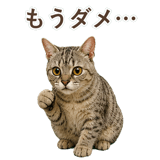 852786988