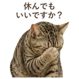 852786989