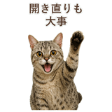 852786992